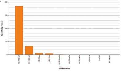 Protein Array: Histone H3 [Trimethyl Lys36] Antibody [NBP2-54611]